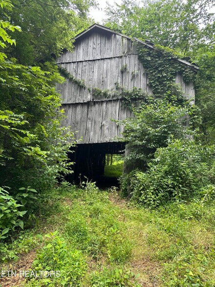00 Black Sheep Hollow 22 75 Acre Rd, Sneedville, TN 37869