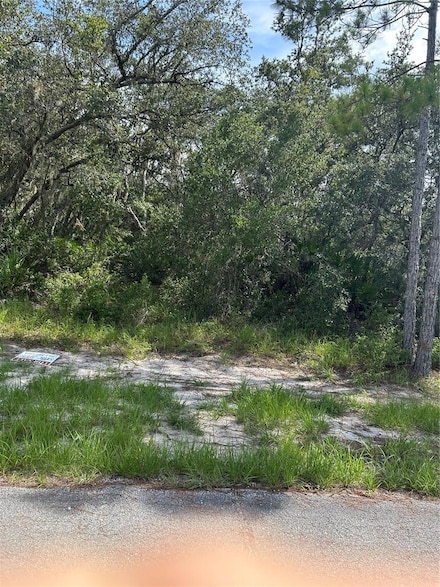 1537 Marlin Dr, Poinciana, FL 34759