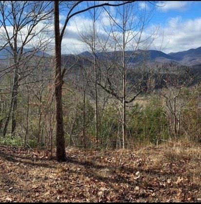 00 Dobson Mountain Rd, Franklin, NC 28734