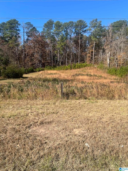 1845 Pelham Rd S, Jacksonville, AL 36265