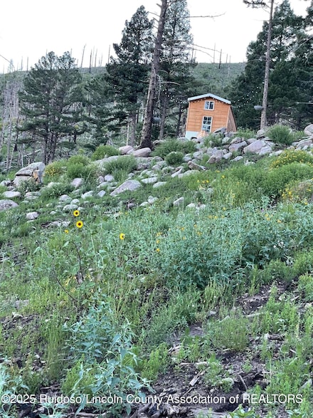 115 Hiker Ct, Alto, NM 88312