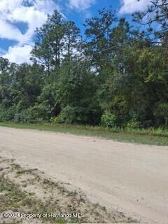 0 Canyon Swallow Rd Unit 2241193, Weeki Wachee, FL 34614