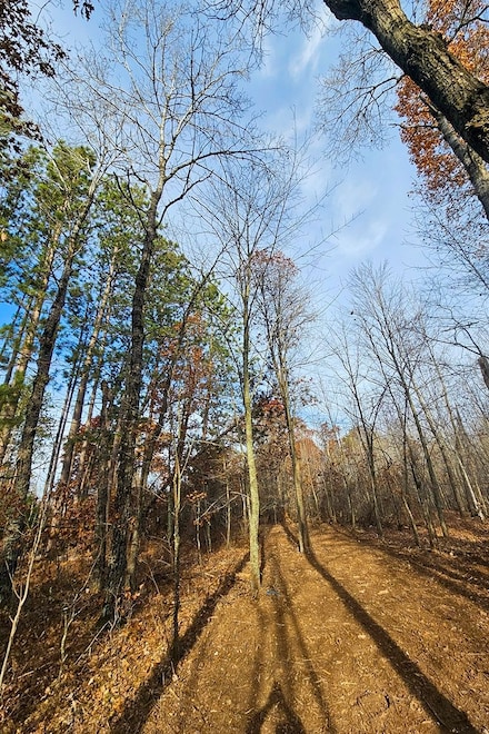 Lot 2 Welch Rd, Webster, WI 54893