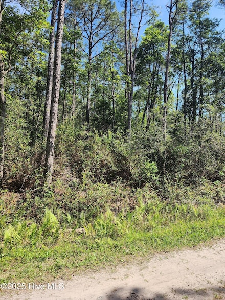 Lot 60 Drake Rd, Boiling Spring Lakes, NC 28461