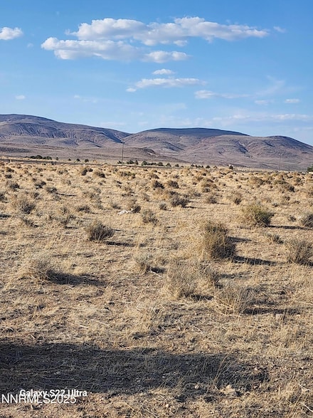 0 Spruce Ave Unit 250052619, Silver Springs, NV 89429