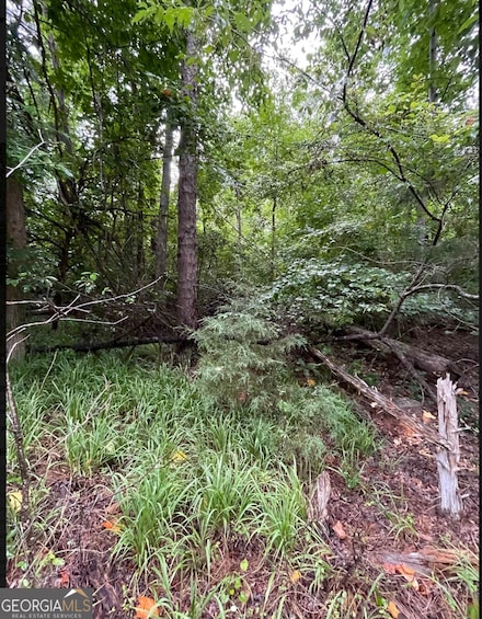 LOT 51 Alpine Way, Gumlog, GA 30553