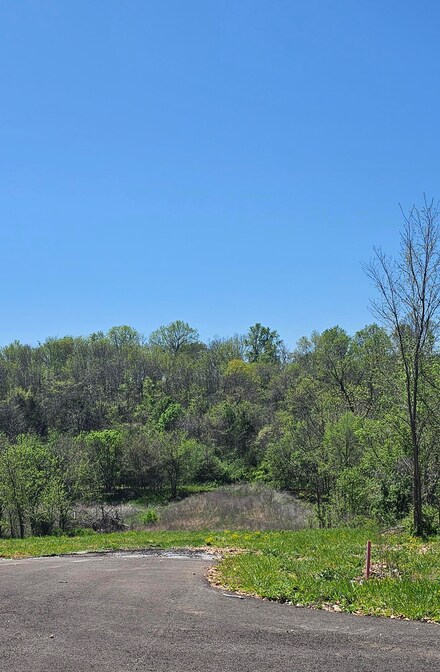 Lot 7 Crystal Estates, Clever, MO 65631
