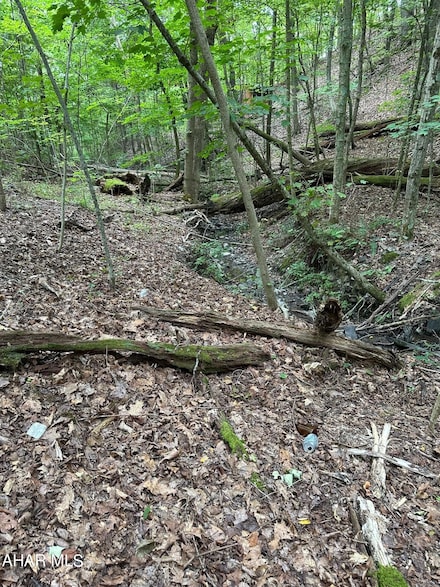Off Reynoldsdale Rd, New Paris, PA 15554