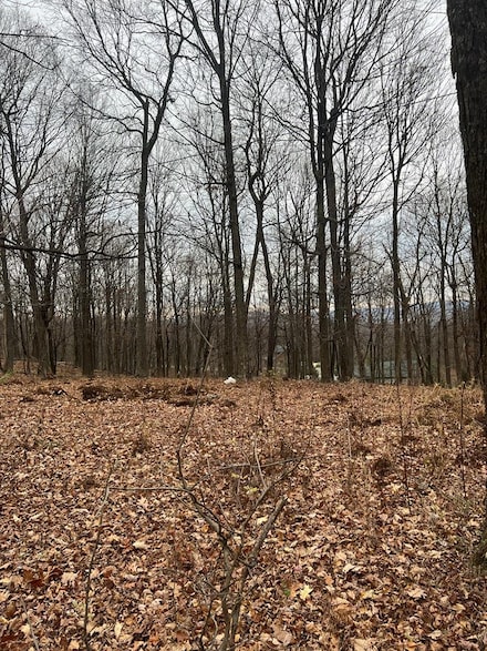 01 Todd Pass, James Creek, PA 16657