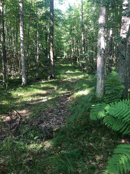 W2101 Wisconsin 73, Granton, WI 54436