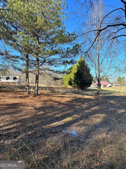0 Paynes Lake Rd Unit 10254856, Carrollton, GA 30116