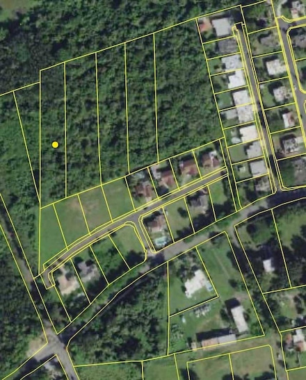 Finca De Leon Barrio Yeguada, Vega Baja, PR 00693