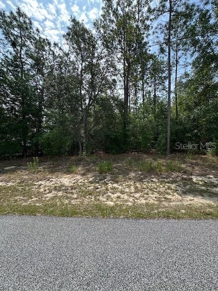 920 W Rum Place, Citrus Springs, FL 34434
