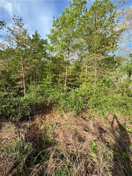 7 Fountainhall Dr, Bella Vista, AR 72715
