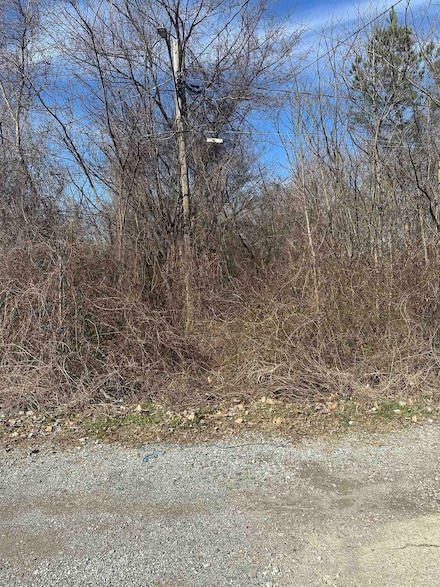 0 Hicks Rd Unit 10190566, Memphis, TN 38109