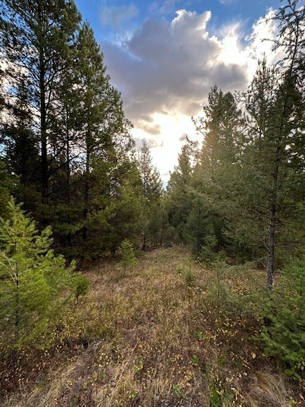 Lot 10 Black Pine Meadows Subdivision, Philipsburg, MT 59858