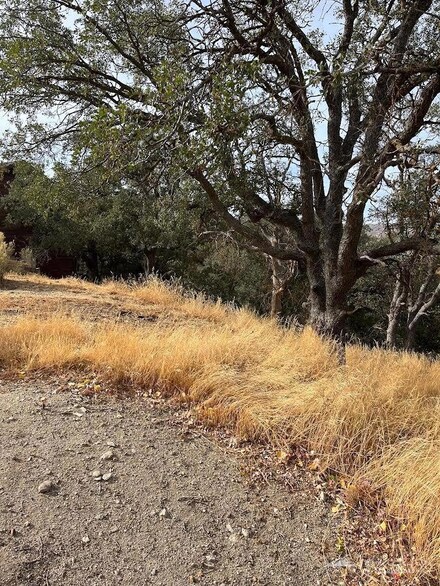21 Tulip St, Tehachapi, CA 93561