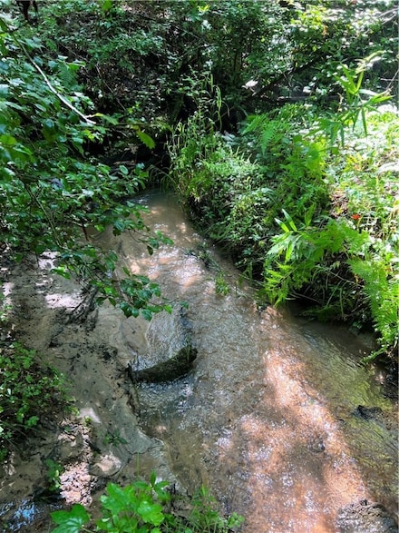 00 Wolf Creek Rd, Pickens, SC 29671