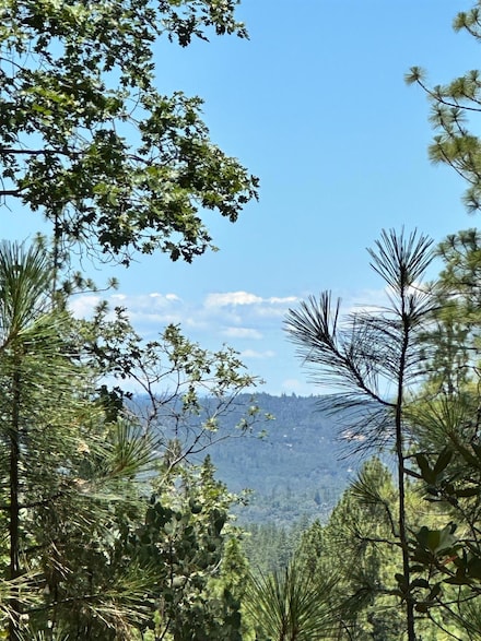 16681-Lot 402 Winchester Club Dr, Meadow Vista, CA 95722