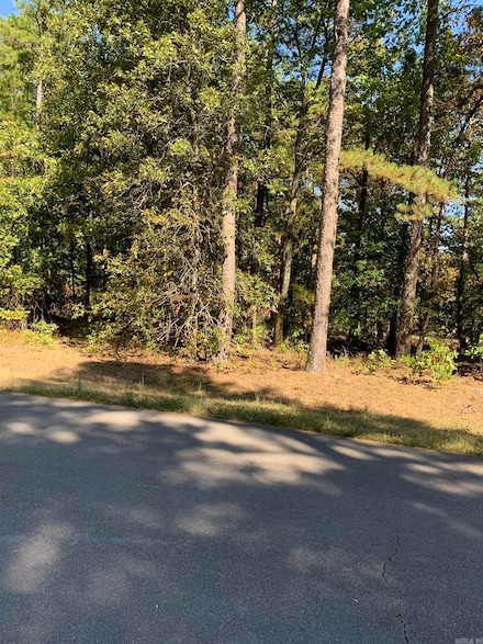 5 Peral Ln, Hot Springs Village, AR 71909