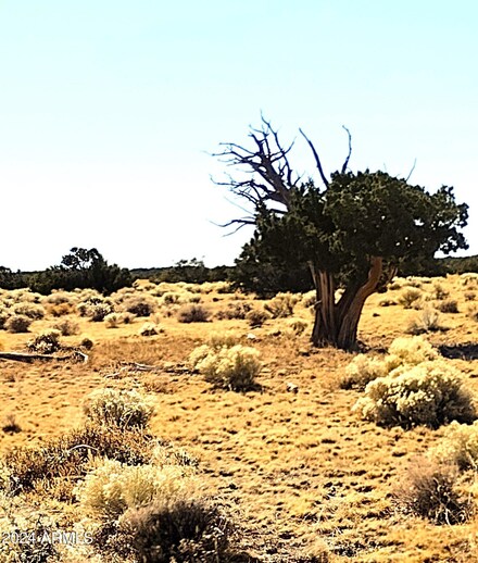 Lot 233 Elk Valley Ranch -- Unit 233, Saint Johns, AZ 85936