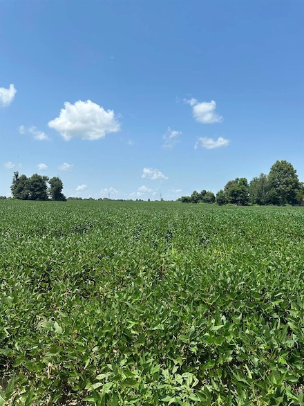 0 U S Highway 62, Campbell, MO 63933