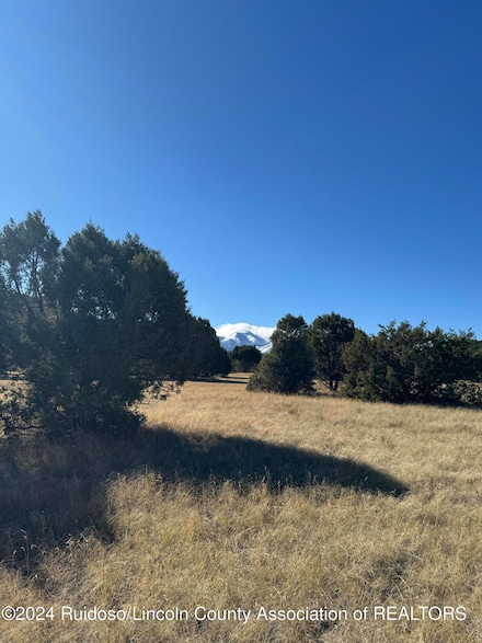 L183 Saddleback Rd, Alto, NM 88312