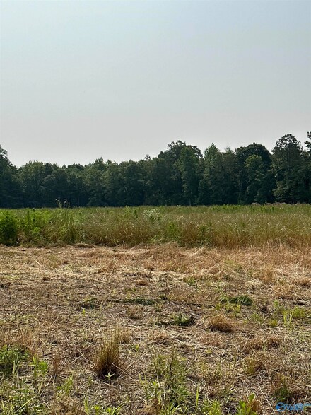 Tract 31 Hays Mill Rd, Elkmont, AL 35620