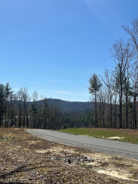 Lot 188 The Ridges, Morganton, GA 30560