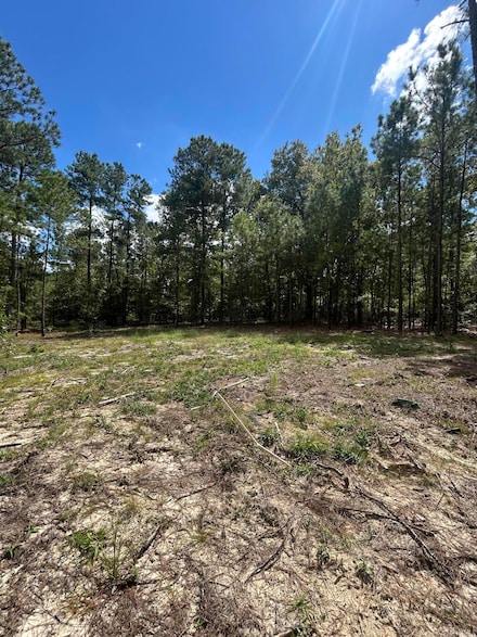 0 Autumn Ln, Trenton, SC 29847