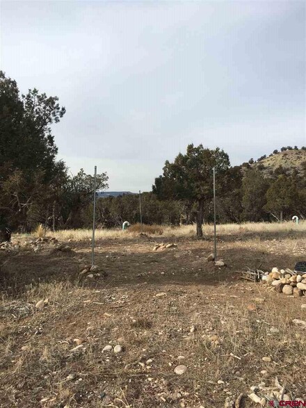 0 Summit Swing Unit 740507, Arboles, CO 81121