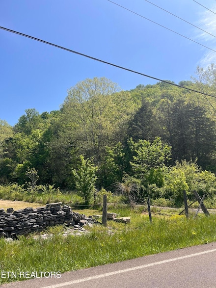 9406 Heiskell Rd, Heiskell, TN 37754