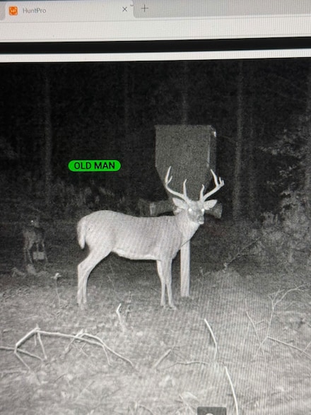 Cedar Grove Rd Unit Lot WP001, Salem, KY 42078