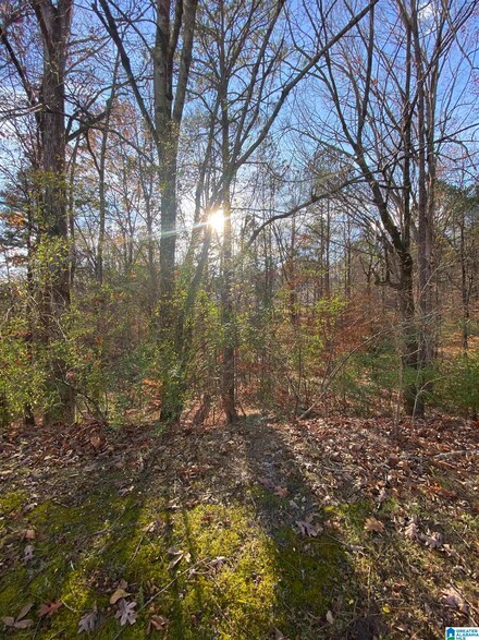 513 Montrose Cir Unit 2, Birmingham, AL 35215