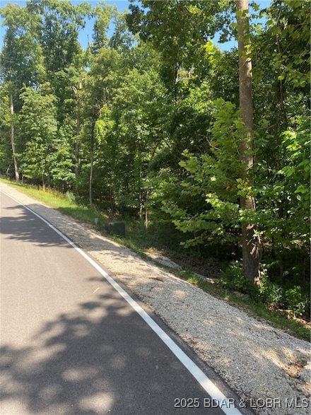 Lot 125 Veronica Ln, Lake Ozark, MO 65049