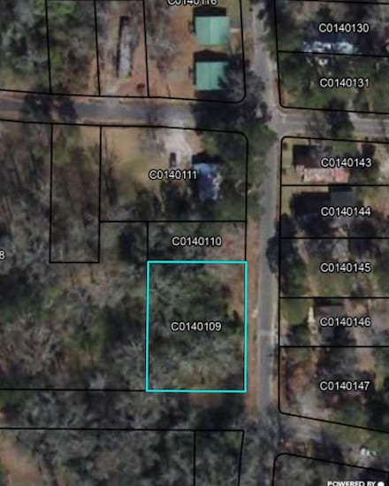 590 3rd St SW, Cairo, GA 39828