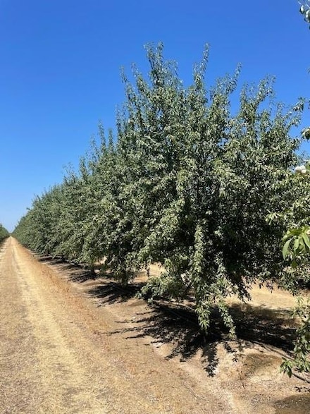 123 N Russell Ave, Firebaugh, CA 93622