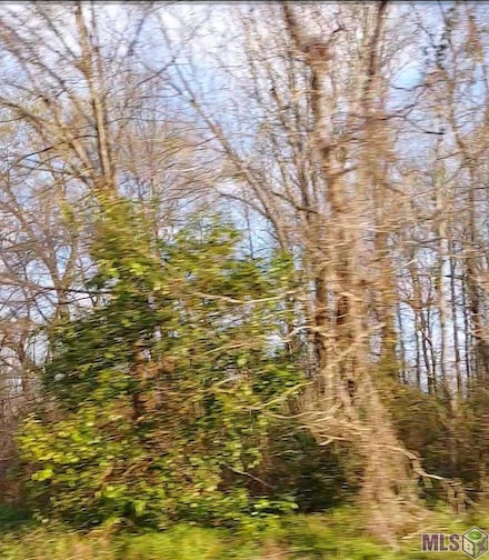 Lot 50-A El Scott Ave, Baton Rouge, LA 70811