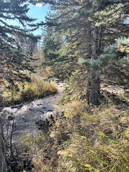 0 Highway 12, Cuchara, CO 81055