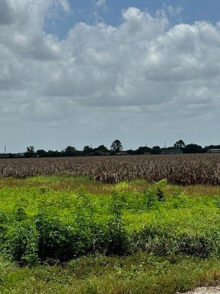 5415 Fenske Ln, Needville, TX 77461