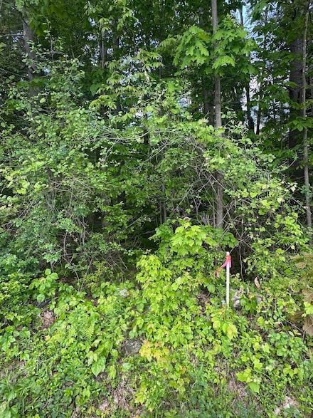 123 U S 5, Westminster, VT 05158