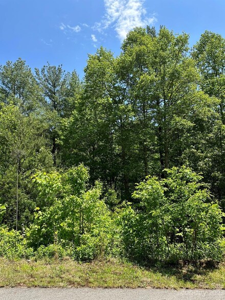 26 Carolina Buckthorn Dr, Leicester, NC 28748