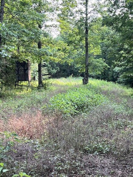 1 Cane Creek Rd, Kimmins, TN 38462