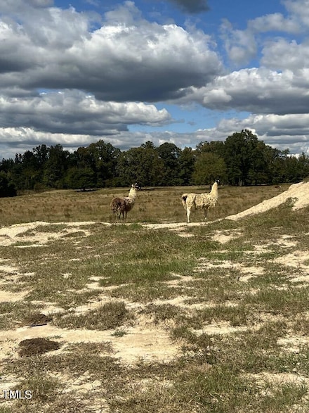 1925 Bunnlevel Erwin Rd, Bunnlevel, NC 28323