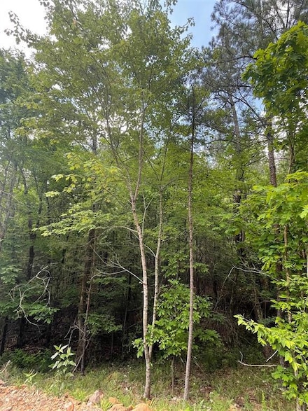 704 Timber Creek Trails South Xl, Broken Bow, OK 74728