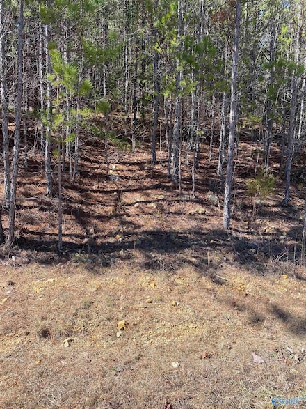 Lot 2 Blk 2 Alyson Ave NW, Fort Payne, AL 35968