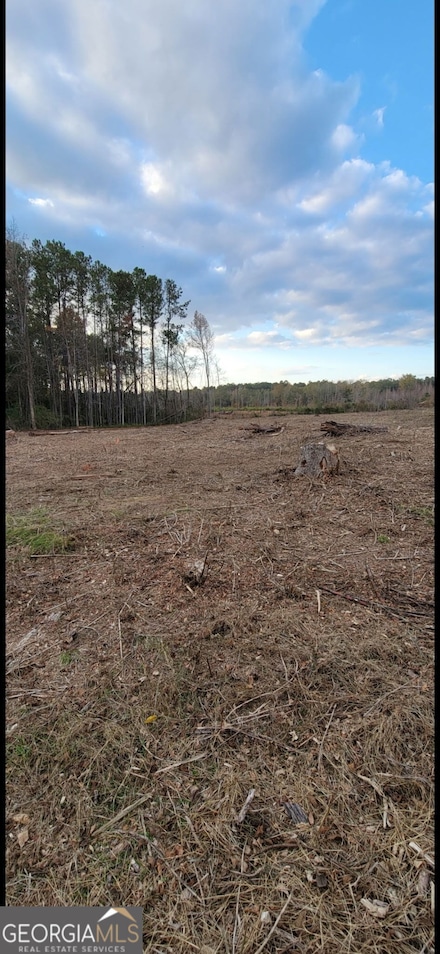 0 Harper Rd Unit 10533765, Barnesville, GA 30204