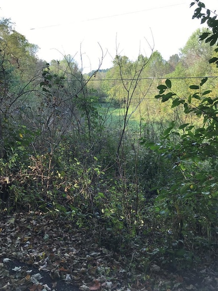TBD Lot#47 Grinstead Hill Rd, Chilhowie, VA 24319