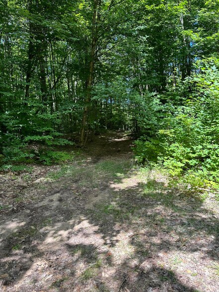000 Pinewood Rd, McMillan Township, MI 49868