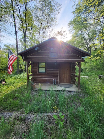 59064 Savage Rd, Vandalia, MI 49095